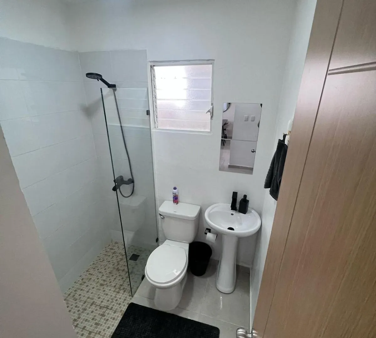Apartment In Santo Domingo Pantoja